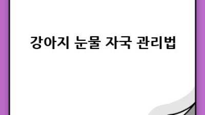 우리 강아지 눈 건강 지키기: 눈 충혈 원인과 치료